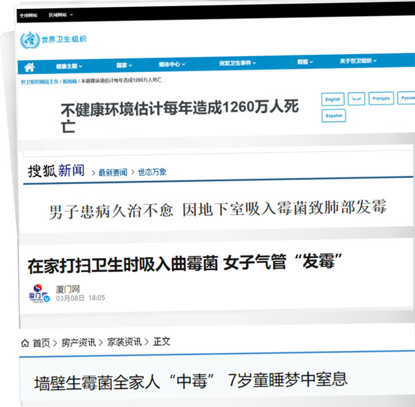 地下室防潮防霉